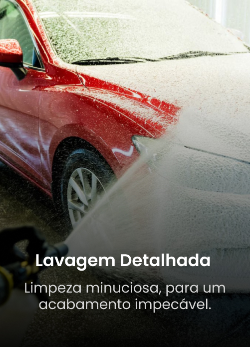 lavagem detalhada